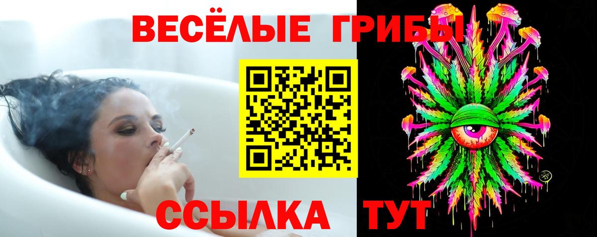 Керчь  Галлюциногенные грибы Psilocybe  Вход с VPN 